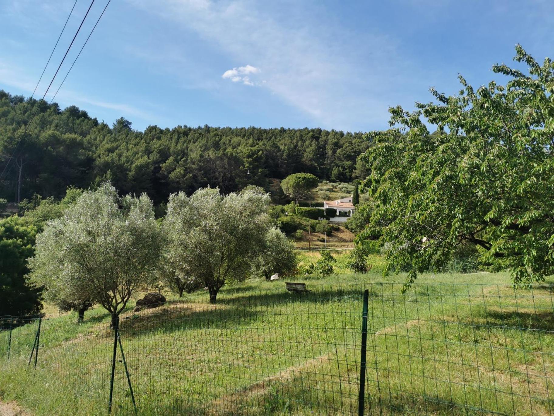 Le Loriot Villa Auriol ภายนอก รูปภาพ
